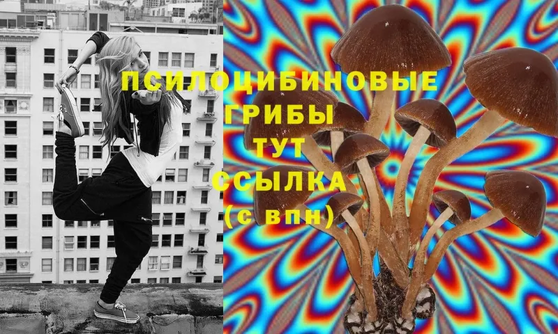 Галлюциногенные грибы Cubensis  Купино 